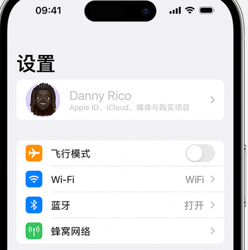 邻水appleID维修服务iPhone设置中Apple ID显示为灰色无法使用 