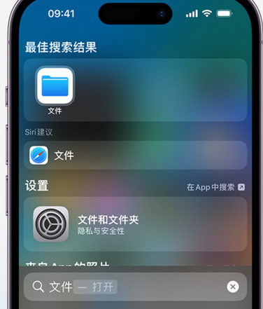 邻水apple维修中心分享iPhone文件应用中存储和找到下载文件 