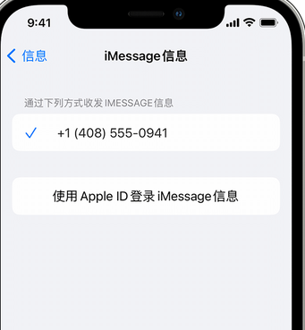 邻水apple维修iPhone上无法正常发送iMessage信息 