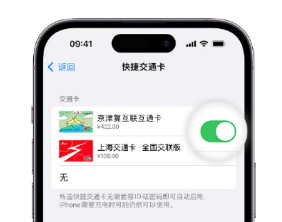 邻水apple维修点分享iPhone上更换Apple Pay快捷交通卡手绘卡面 