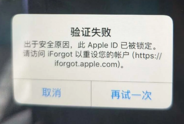 邻水iPhone维修分享iPhone上正常登录或使用AppleID怎么办 