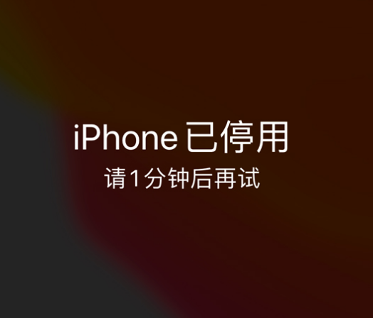 邻水苹果手机维修分享:iPhone 显示“不可用”或“已停用”怎么办？还能保留数据吗？ 