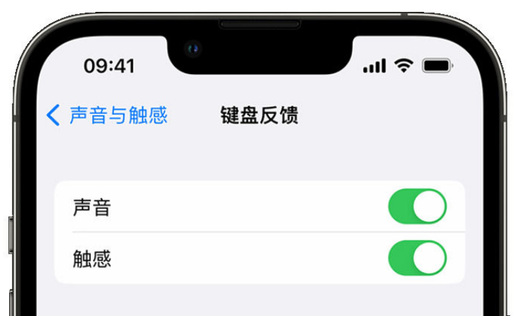 邻水苹果手机维修分享iPhone 14触感键盘使用方法 
