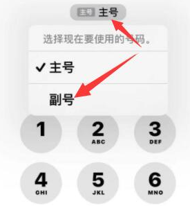 邻水苹果14维修店分享iPhone 14 Pro Max使用副卡打电话的方法 