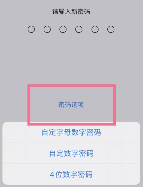 邻水苹果14维修分享iPhone 14plus设置密码的方法 