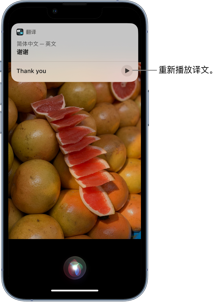 邻水苹果14维修分享 iPhone 14 机型中使用 Siri：了解 Siri 能帮你做什么 