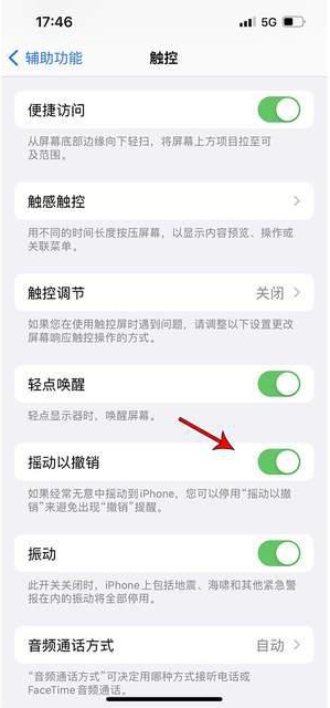 邻水苹果手机维修分享iPhone手机如何设置摇一摇删除文字 